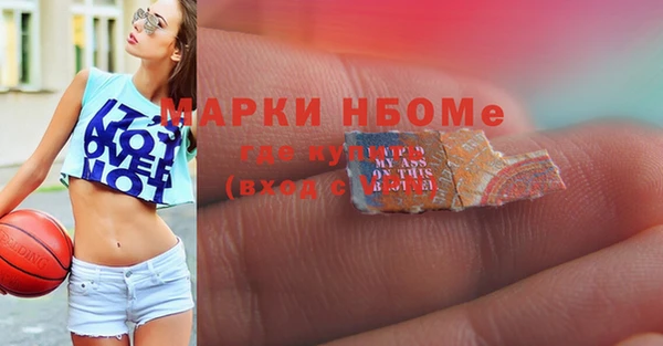 гидра Инсар