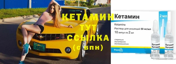 гидра Инсар