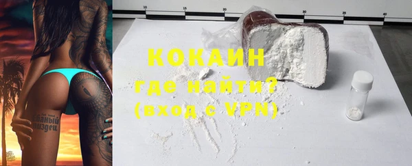 гидра Инсар