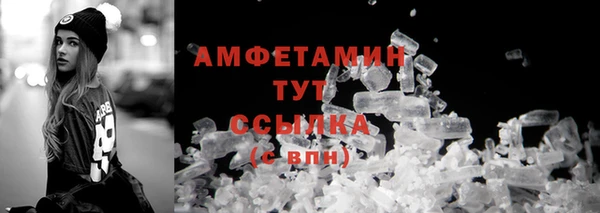 гидра Инсар