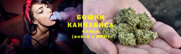 гидра Инсар