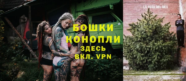 гидра Инсар