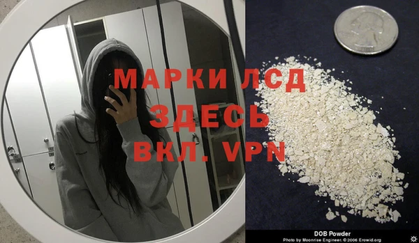 гидра Инсар