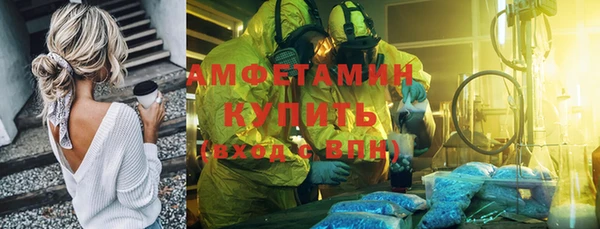 гидра Инсар