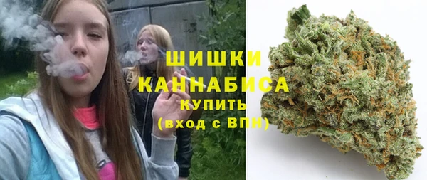 молекула духа Инта