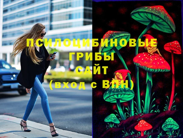 круглые Иннополис