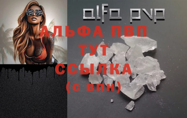 гидра Инсар