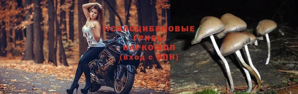 молекула духа Инта